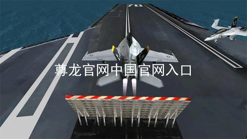 尊龙官网中国官网入口