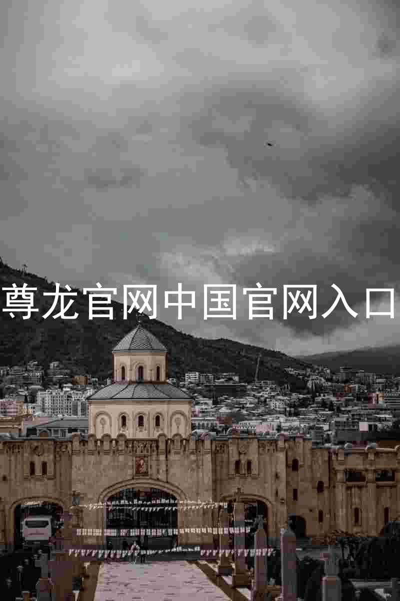 尊龙官网中国官网入口