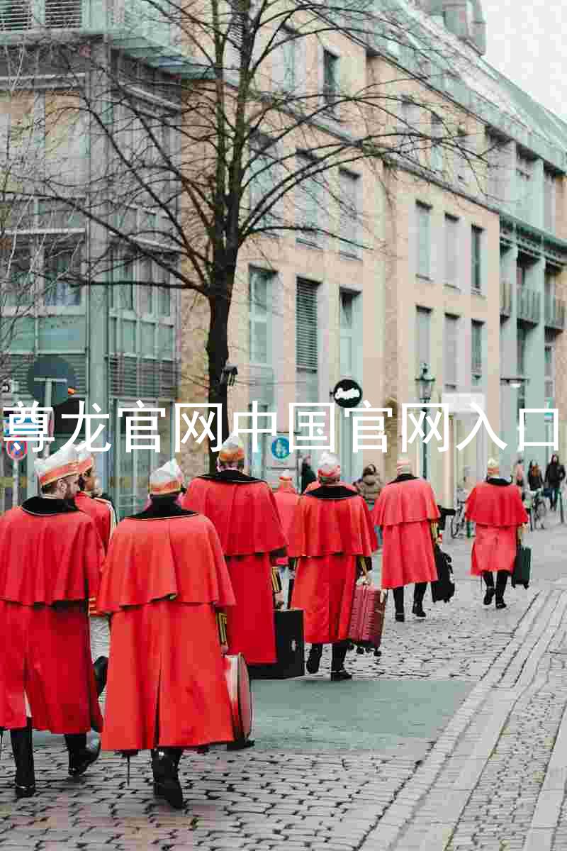 尊龙官网中国官网入口