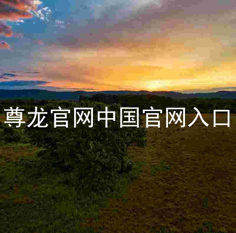 尊龙官网中国官网入口