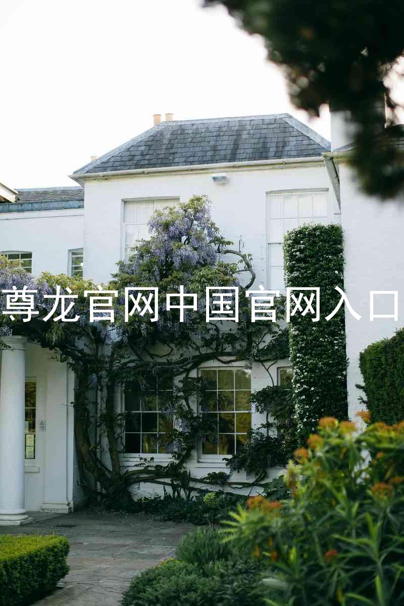 尊龙官网中国官网入口