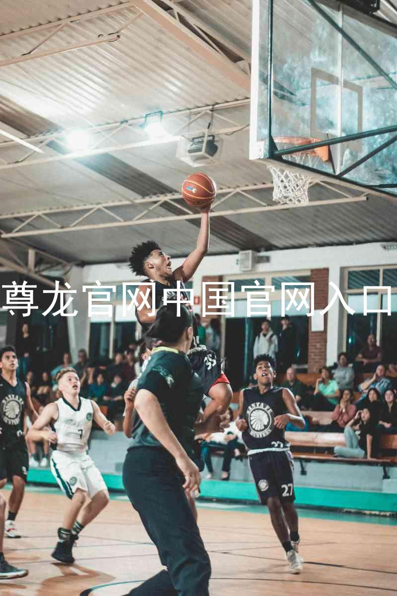 尊龙官网中国官网入口