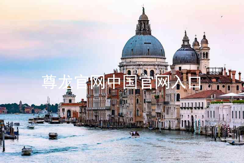 尊龙官网中国官网入口