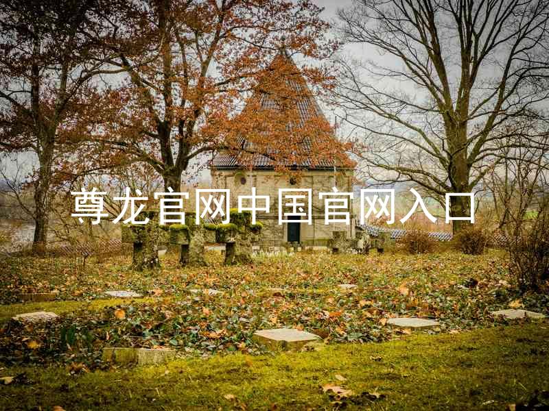 尊龙官网中国官网入口