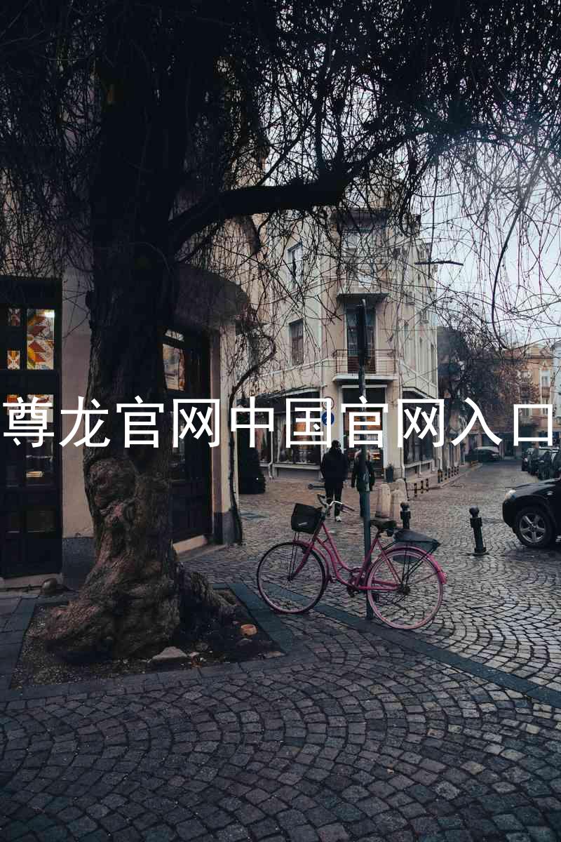 尊龙官网中国官网入口